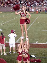 Sport Fetish Porn sample picture