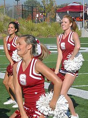 Sport Fetish Porn sample picture