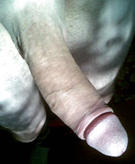 Huge cock pic