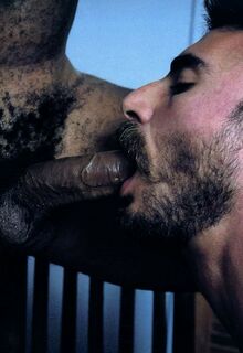 classic gay porn photo