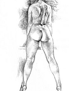 Free Erotic Art Toons Online