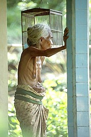 big_granny_pussy286.jpg