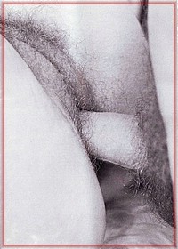 Retro Pussy
