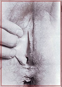 Retro Pussy