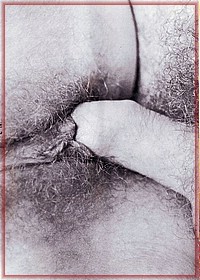 Retro Pussy