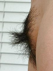 sexy hairy pussy