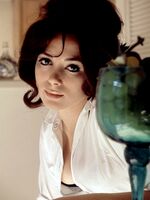 retro porn stars