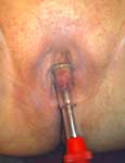 maledom