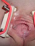 bdsm