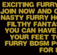 furry + hentai
