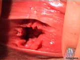 nastia_close_up-0145.jpg