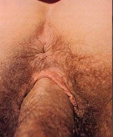 vintage porn collection