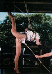 Shibari: Japan bondage Pictures