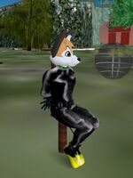 free furry hentai videos